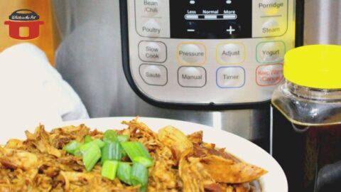 https://whatsinthepot.com/wp-content/uploads/2020/04/easy-honey-garlic-chicken-in-the-instant-pot-480x270.jpg