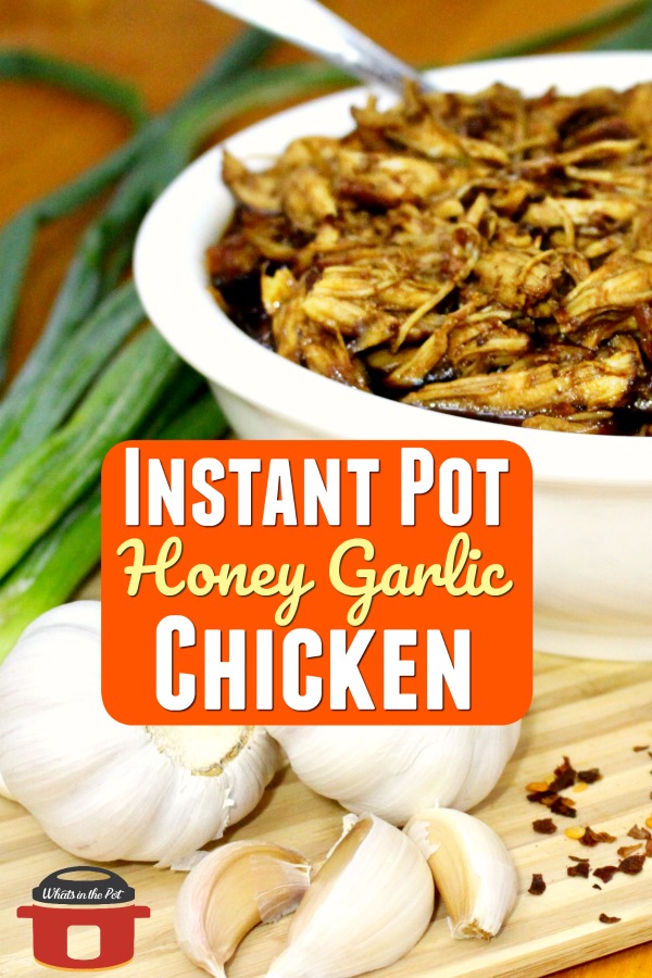 instant pot honey garlic chicken recipe