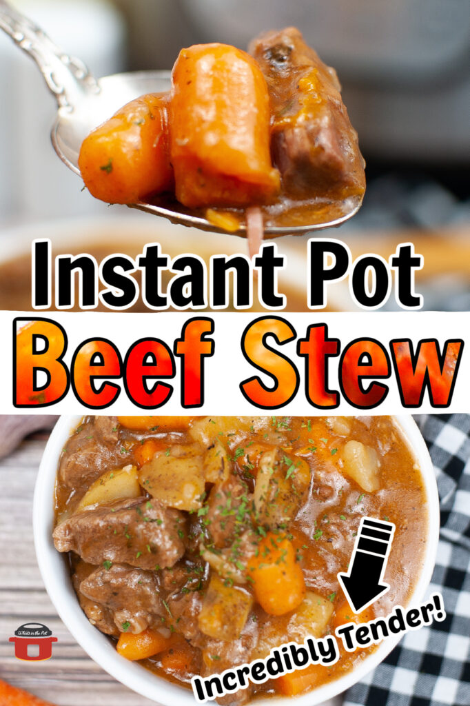 instant pot beef stew in bowl ready to serve