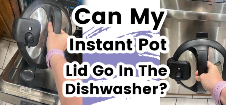 Can your Instant Pot Lid Go In the Dishwasher