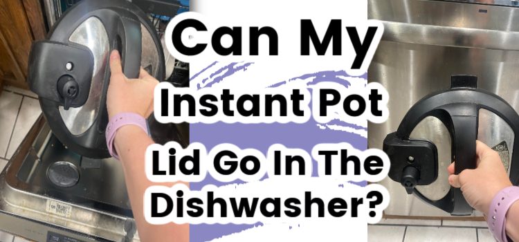 Can your Instant Pot Lid Go In the Dishwasher Tips for Cleaning What s in the Pot