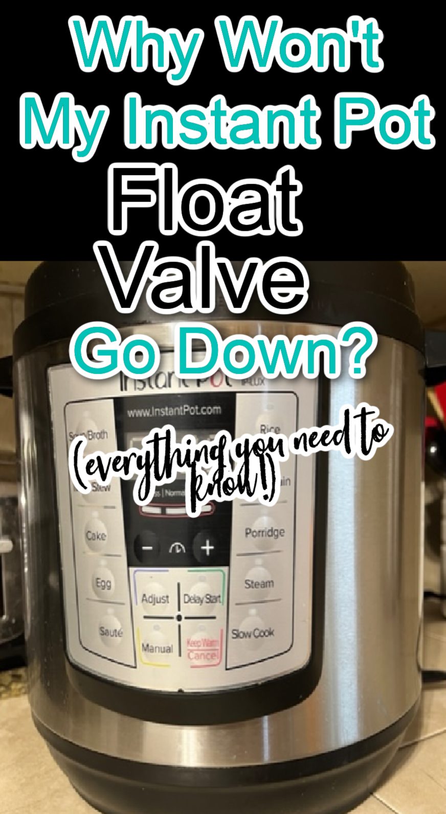 Why Won’t My Instant Pot Float Valve Go Down? 6 Culprits - What's in