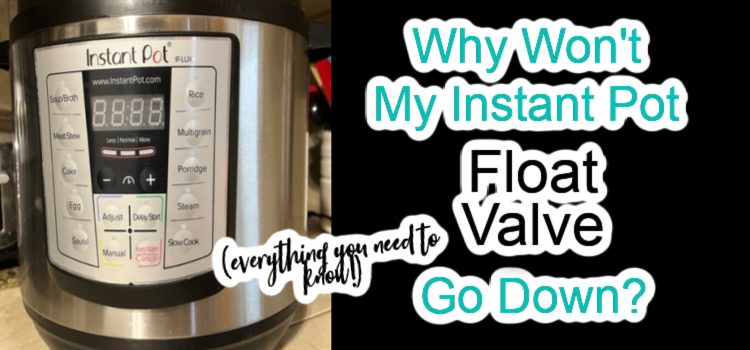 Missing float valve but didn't notice until I filled it with ingredients.  Is there anything I can do to make it useable? : r/instantpot