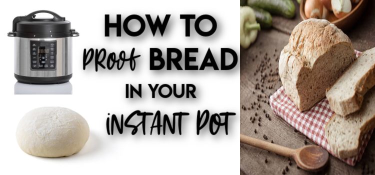 how to proof bread in the instant pot