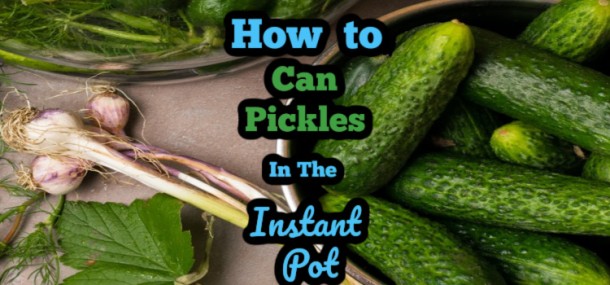 How To Can Pickles in the Instant Pot - What's in the Pot