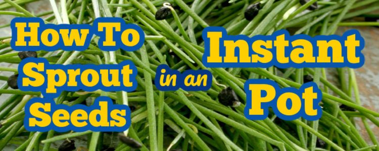 how to sprout seeds in instant pot