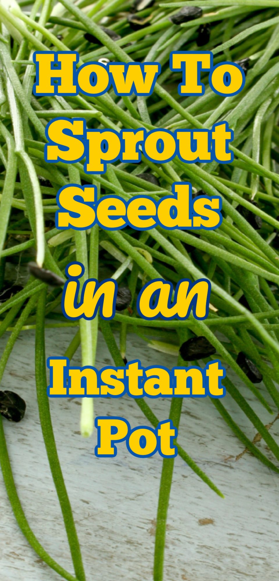 How To Sprout Seeds in an Instant Pot